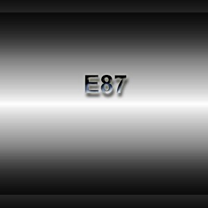 E879